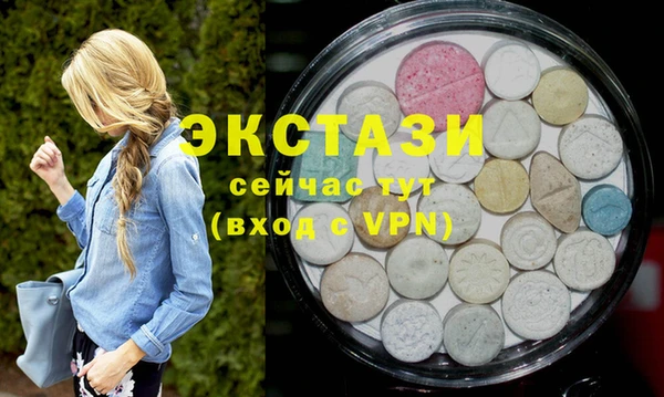 молекула духа Снежногорск