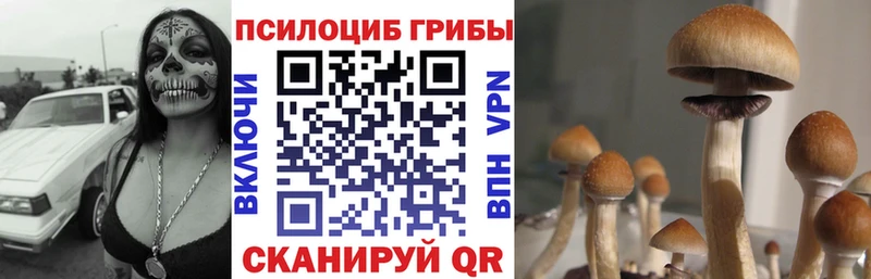 Псилоцибиновые грибы мухоморы  купить  сайты  Бологое 